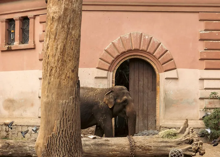 Alexander Am Zoo Kg Hotel Frankfurt nad Menem